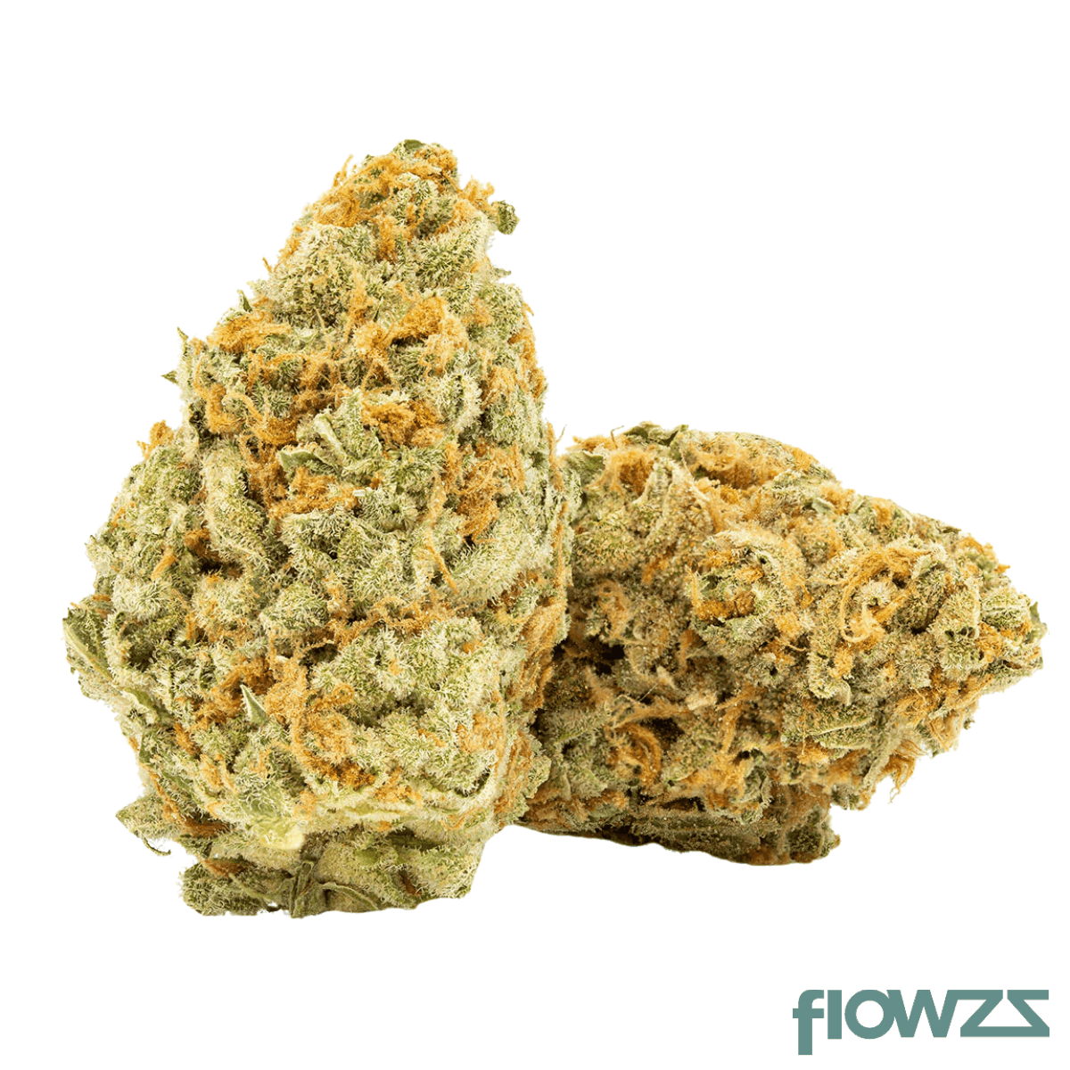 Buuo 22/1 CDLC Strawberry Guava