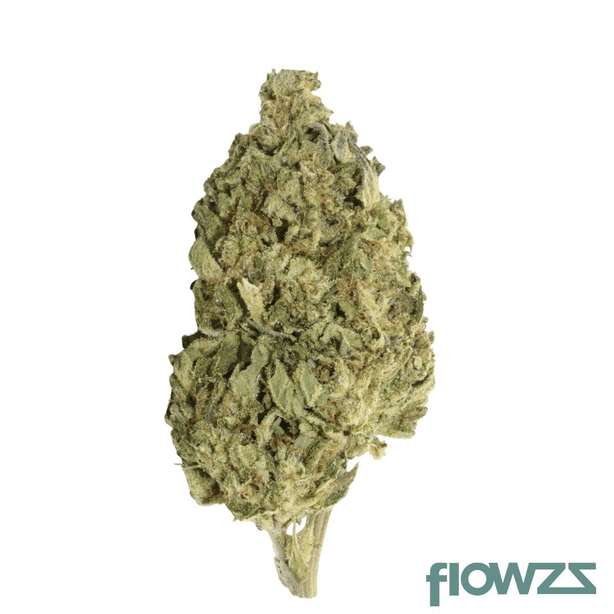 remexian-30-1-mtl-par-pablos-revenge