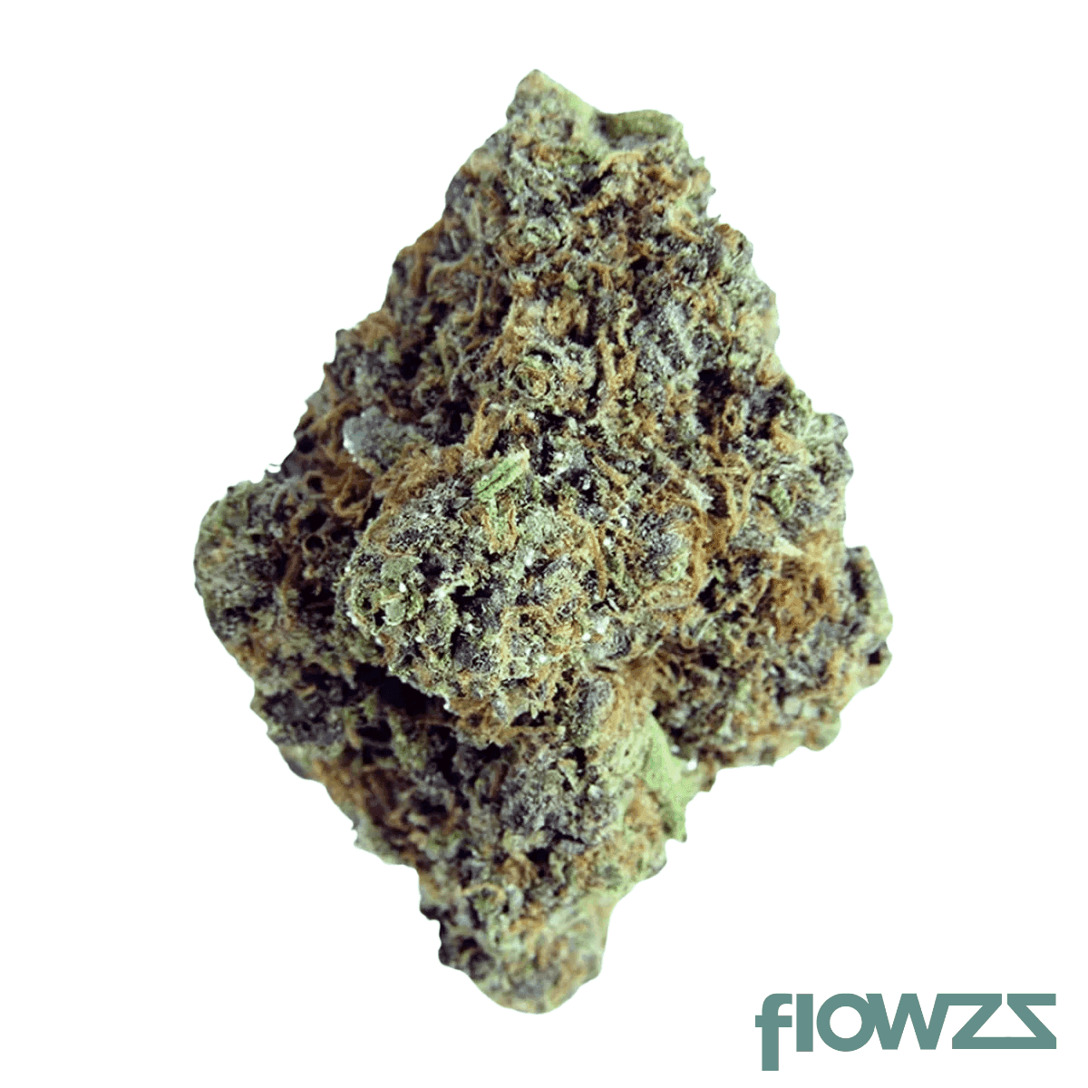 adrex-mother-28-ais-can-28-1-apes-in-space