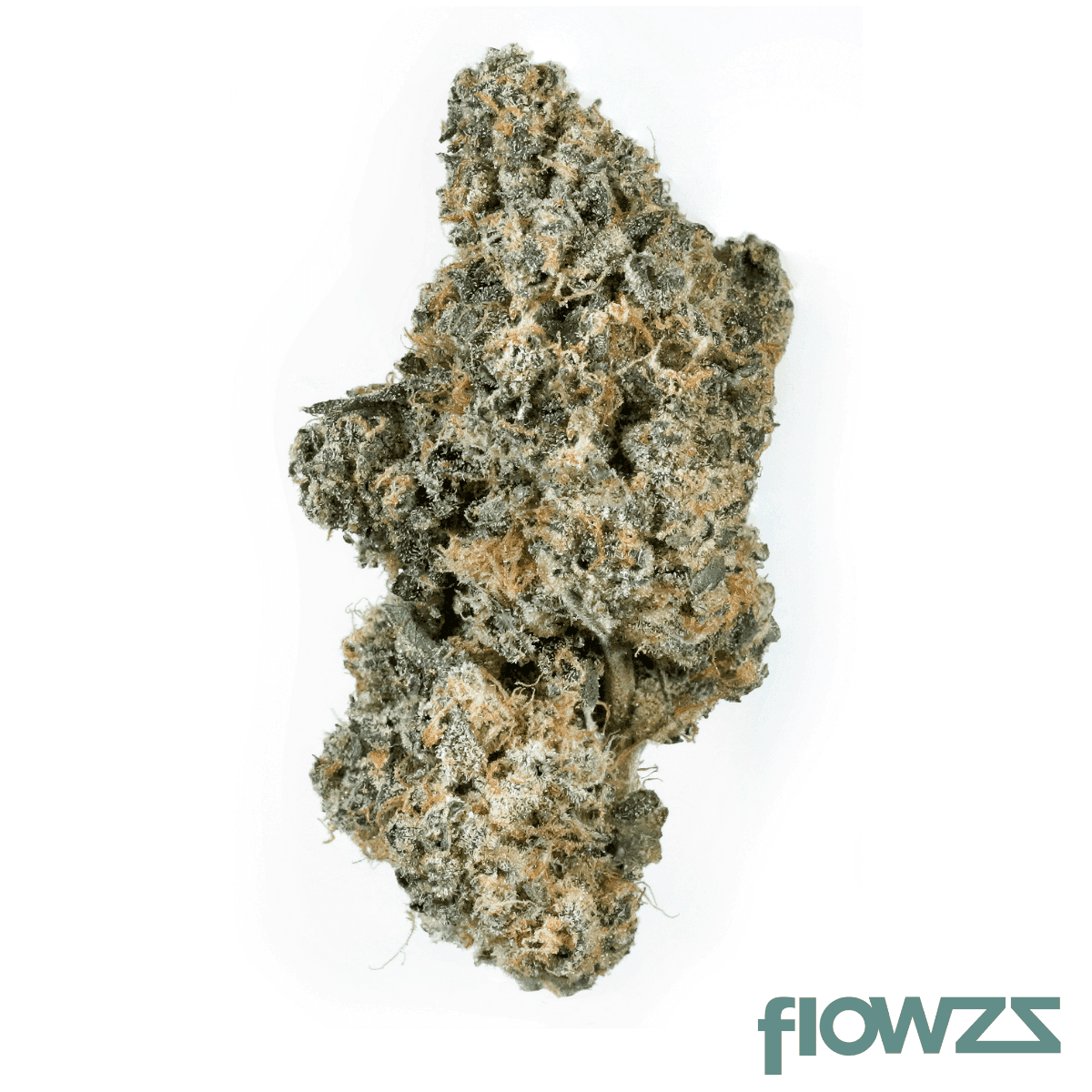 bathera-28-1-fine-cookies