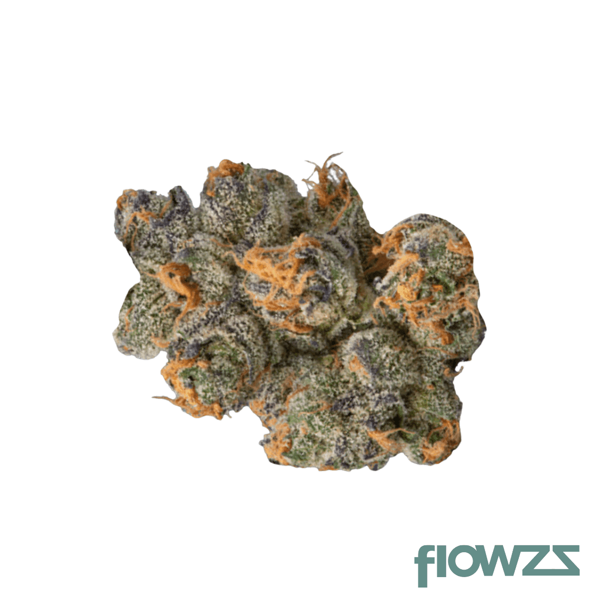 mgf-gp-26-1-grapple-pie