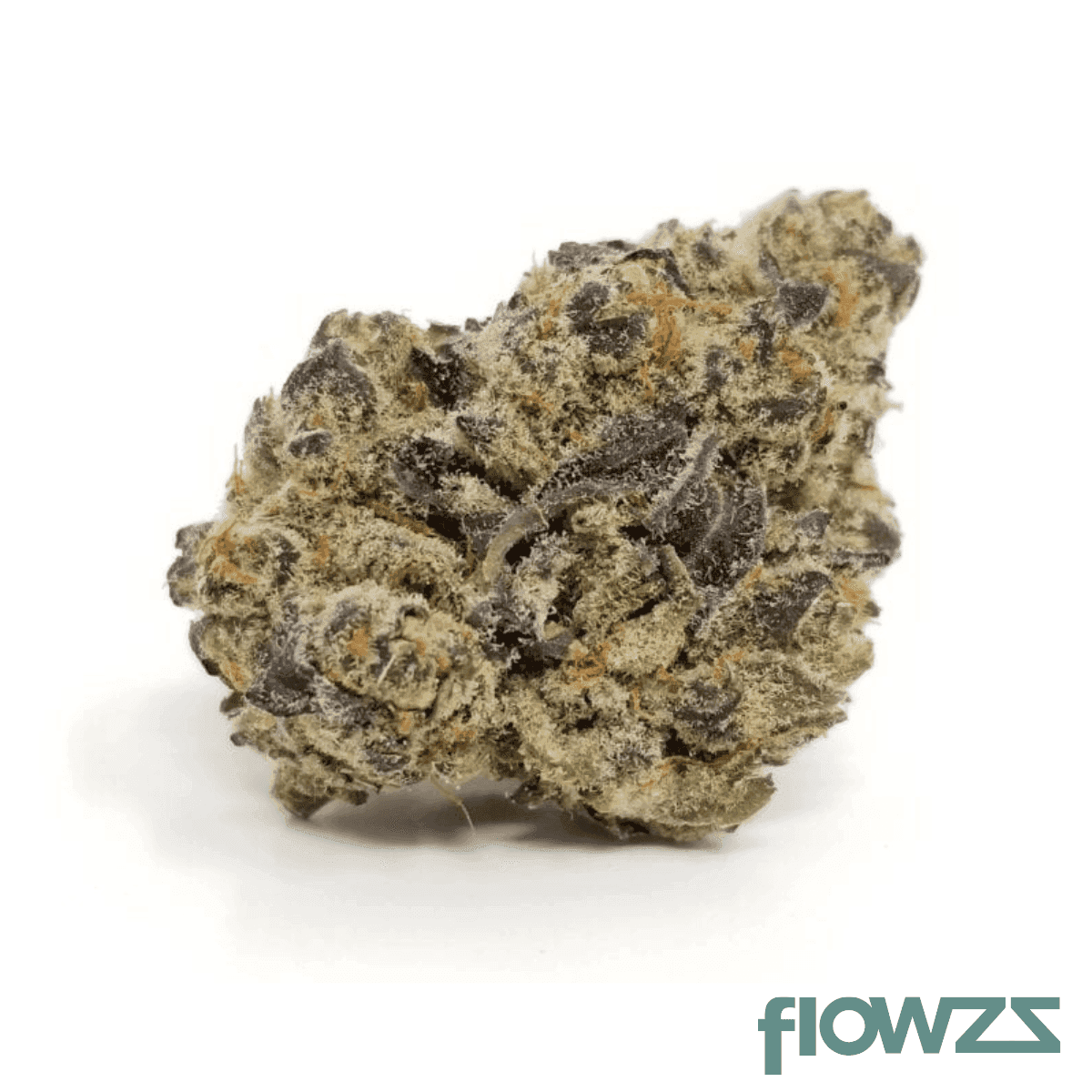 remexian-27-1-civ-mim-mimosa