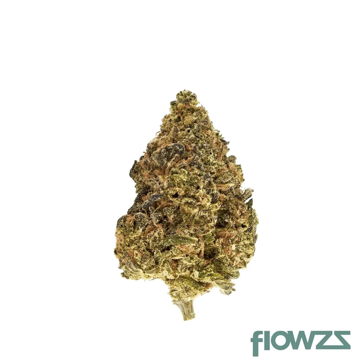 truu-gt-26-01-skull-cap