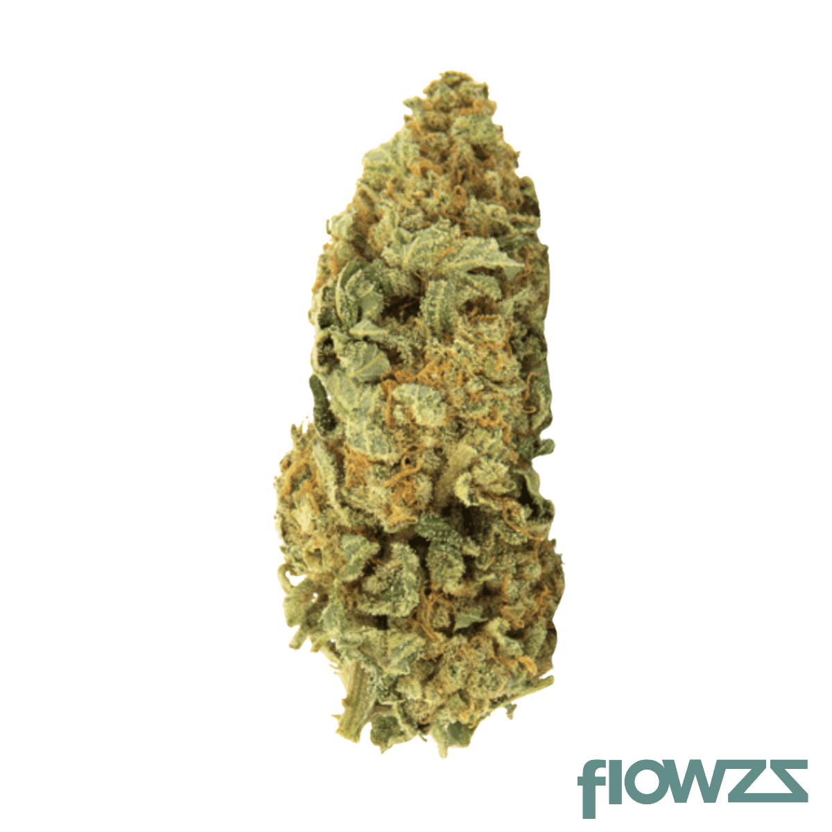 hexa22-cannabis-flower-iberian-icecream-33