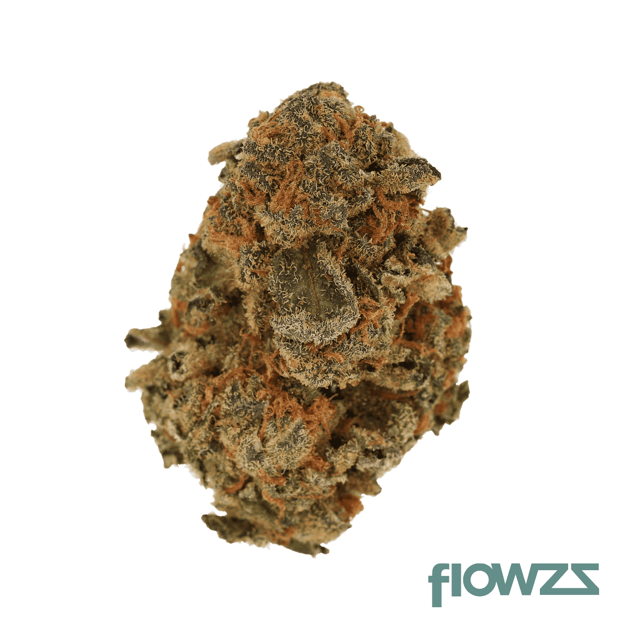 cannamedical-sativa-classic-fast-orange