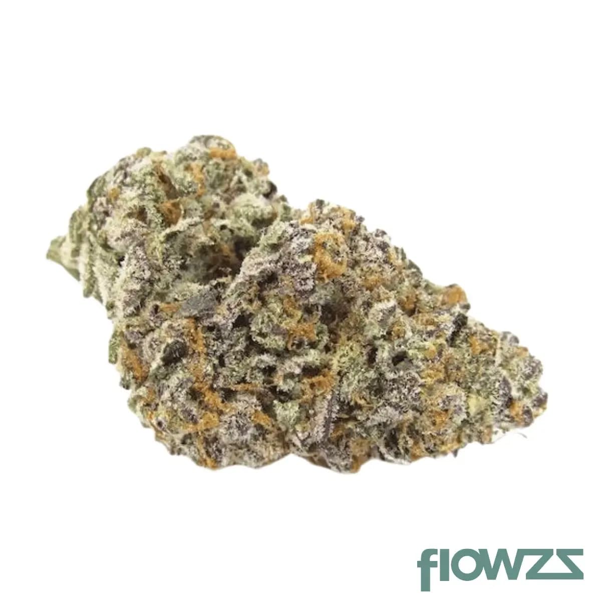 grow-29-1-gelato-sherbet-ge