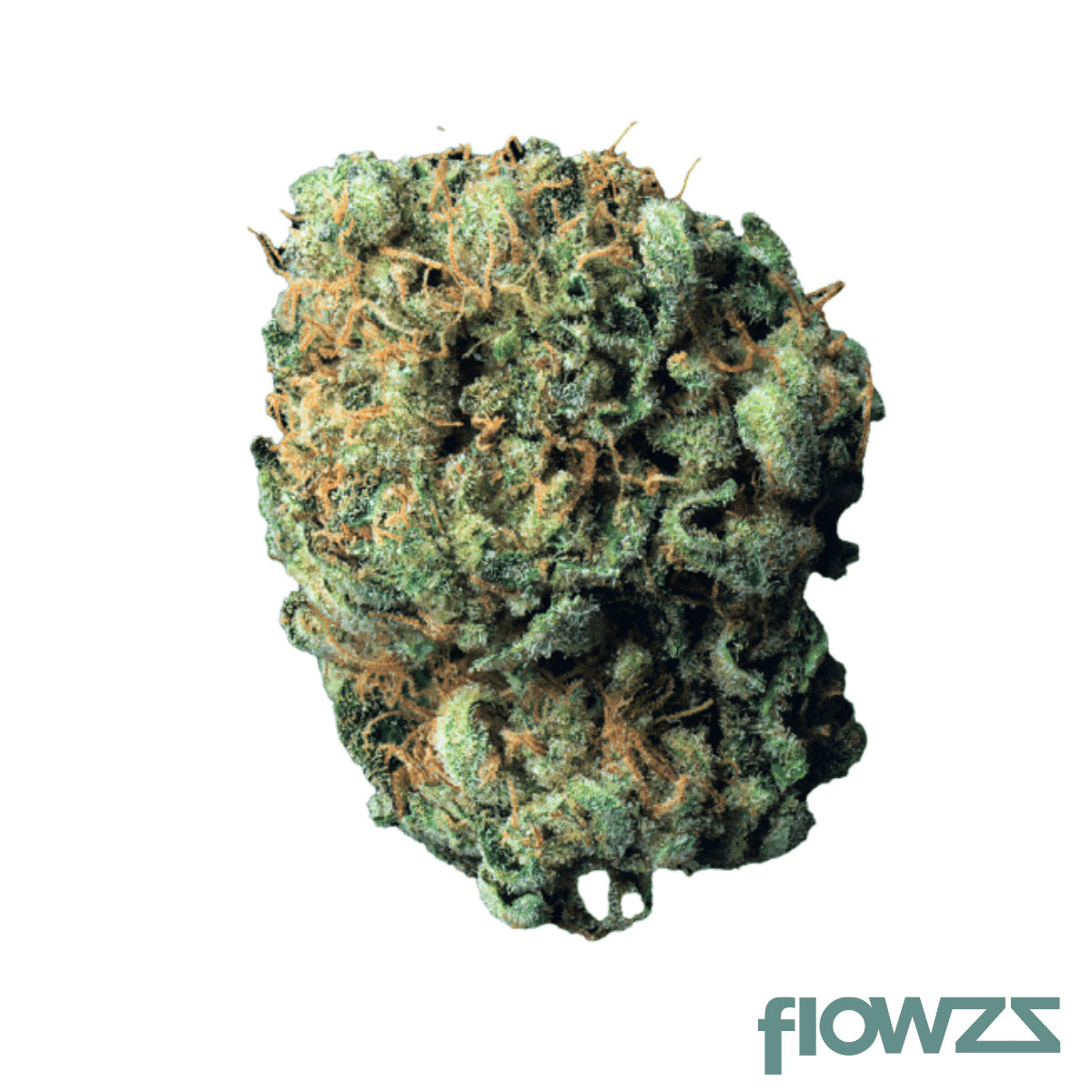 cookies-26-1-md-medellin