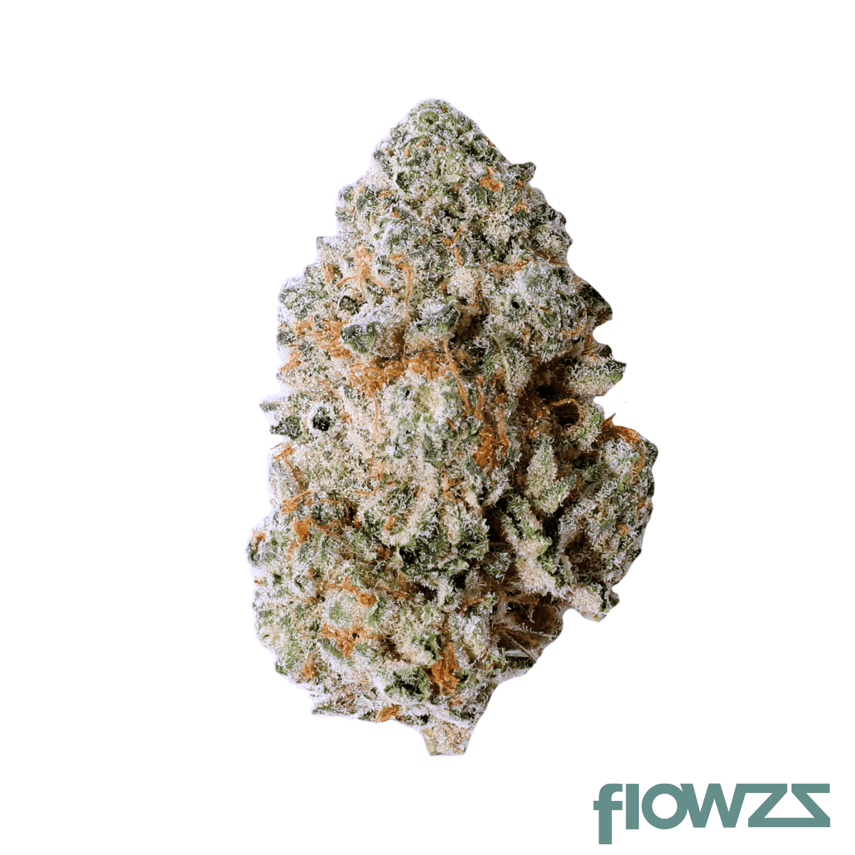 blackbird-hybrid-intense-wedding-crasher