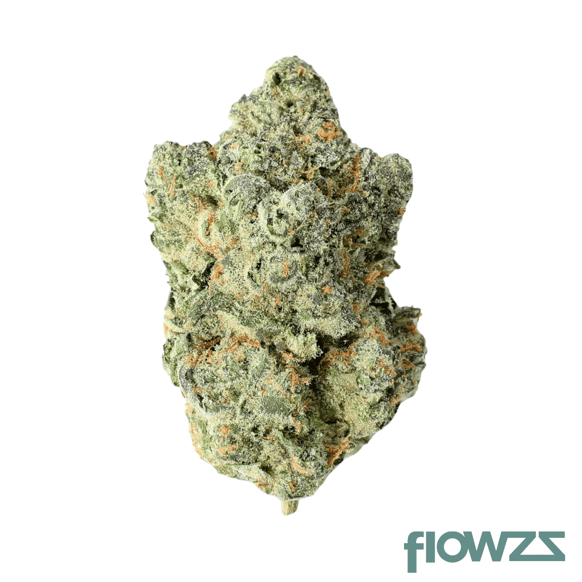 canify-25-1-por-ku-moroccan-peaches