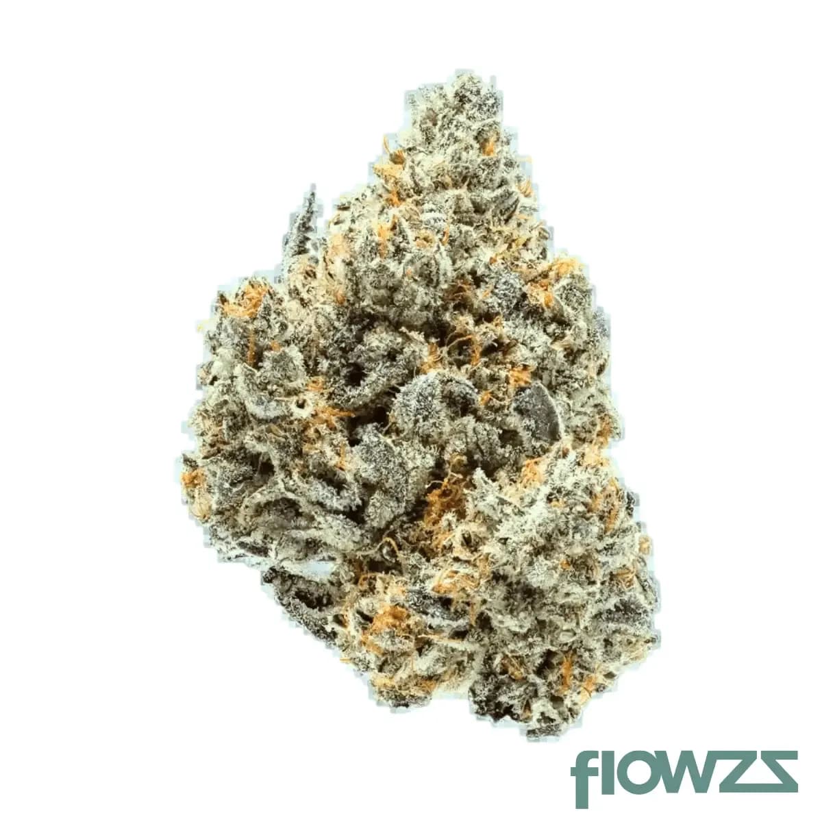 remexian-27-1-sck-strawberry-cookies