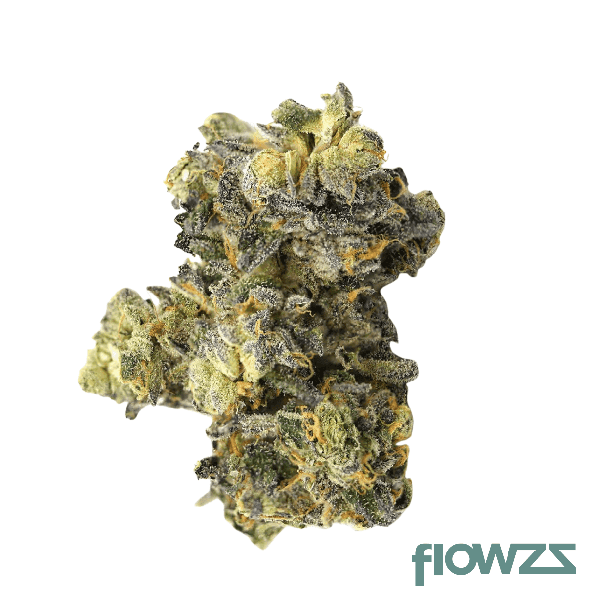 remexian-28-1-bdp-big-purple-dragon