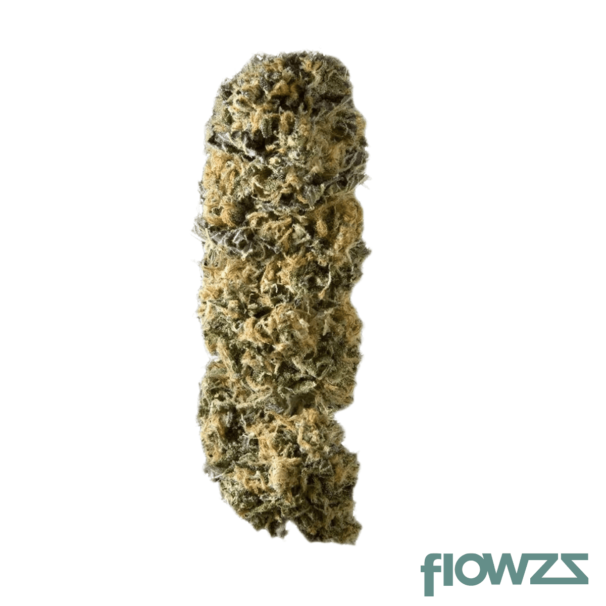 cannabistada-24-1-sen-sensistar