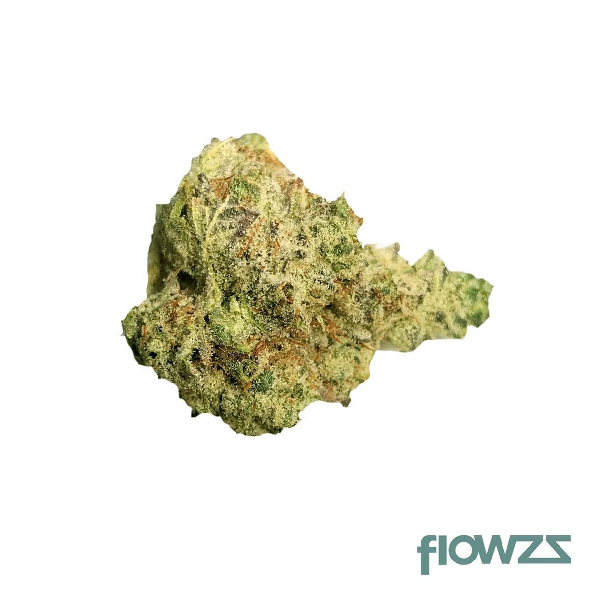 Apocan Natural GG 20/1