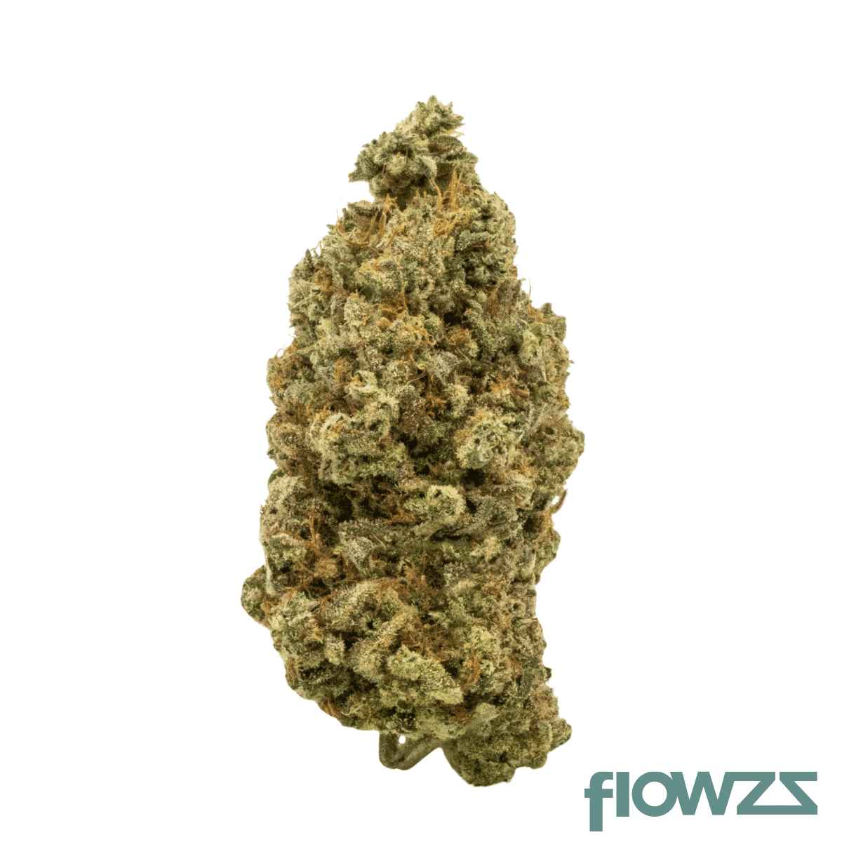 barongo-24-1-banjo-tangelo-boost