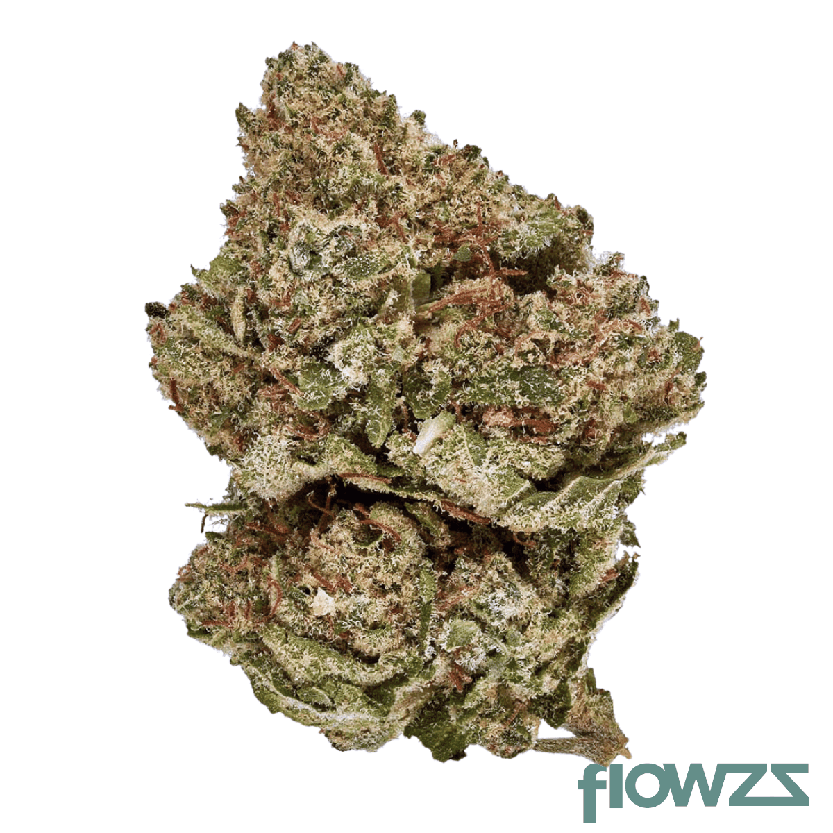 remexian-27-1-leo-lemorange