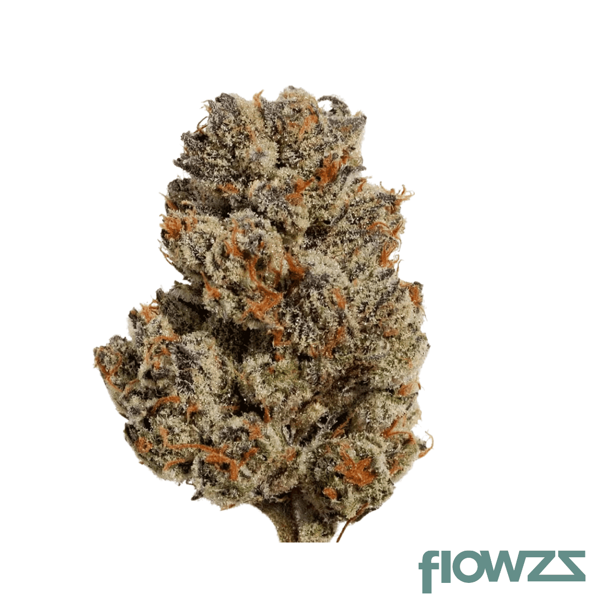 barrocas-icm-18-1-ice-cream-man