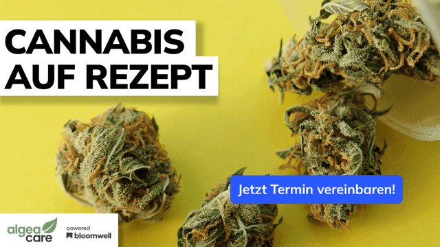 cannabis auf rezept mit algea powered by bloomwell