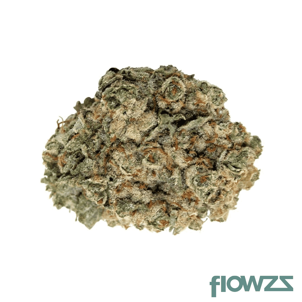 madrecan-21-1-pip-pineapple-purps-minis