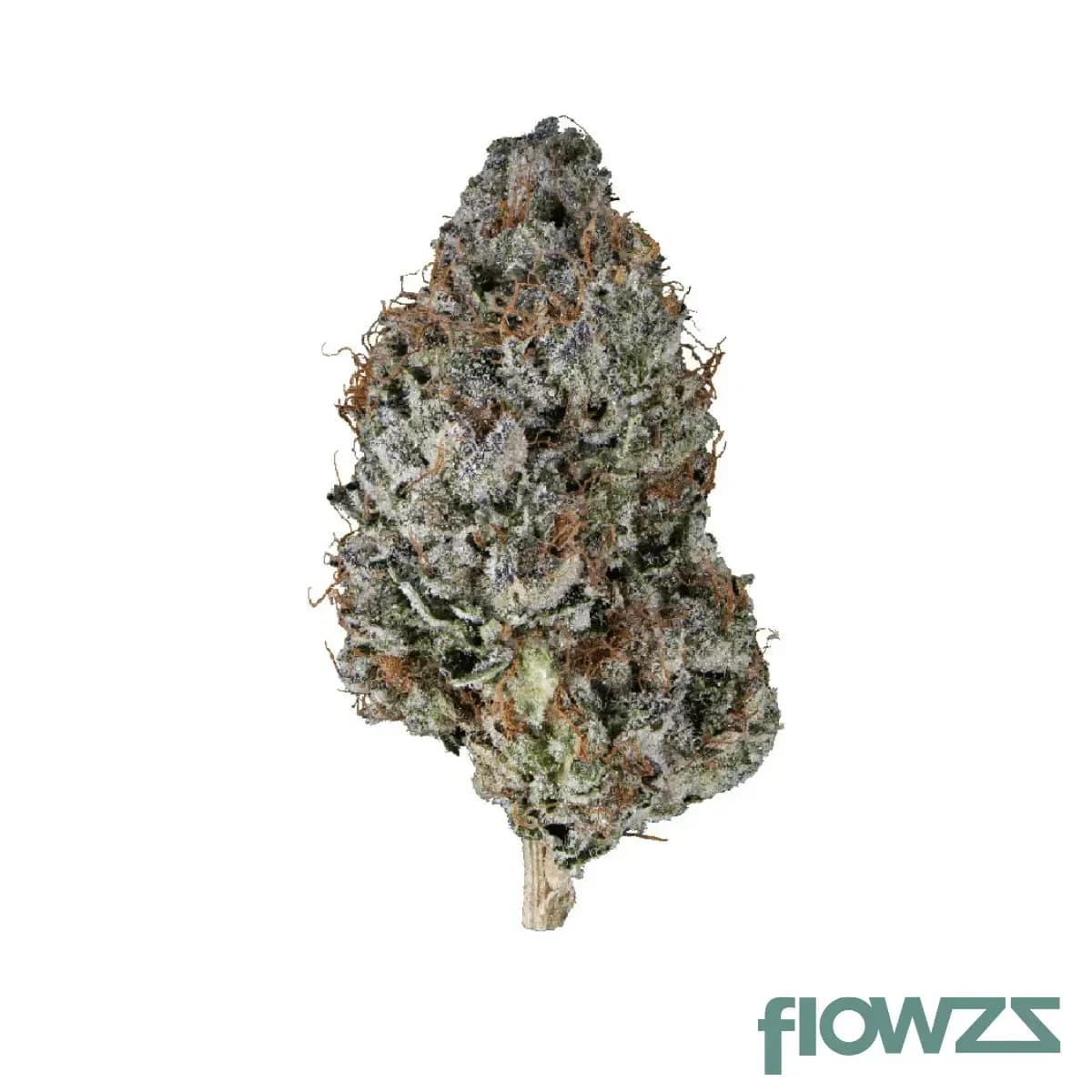 good-supply-thc22-bcr-beach-crasher