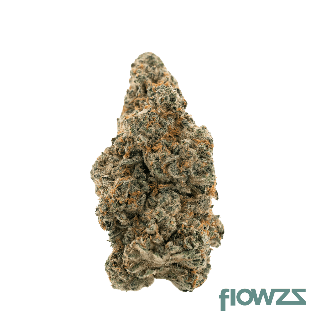 herbery-bb-23-01-moonbow-x-planet-purple