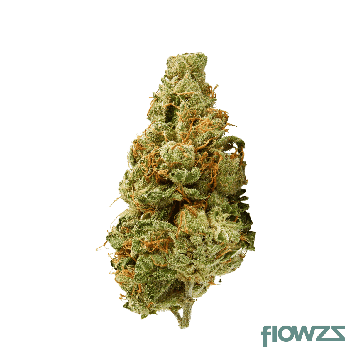 demecan-core-golden-horizon-27-1-golden-goat