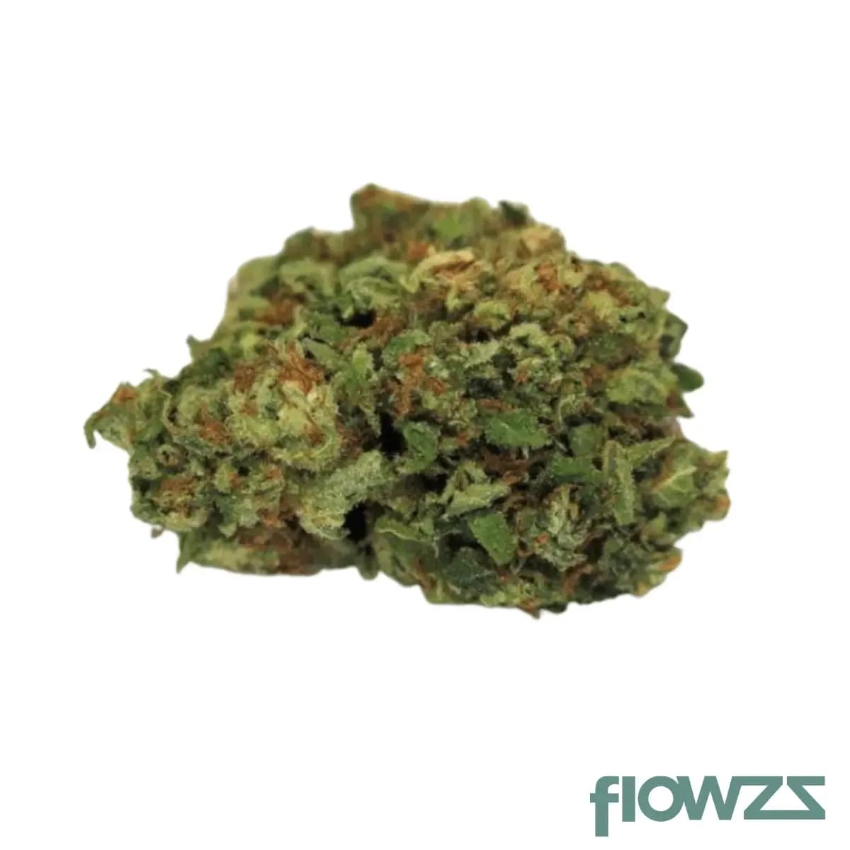 madrecan-21-1-dgv-dougs-varin