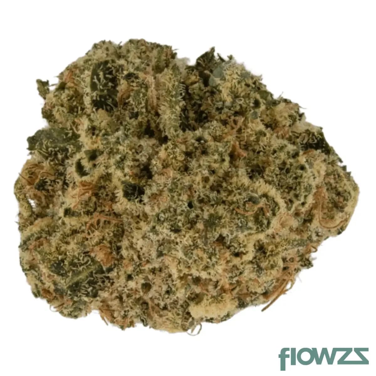 barongo-30-1-zp-zesty-parm