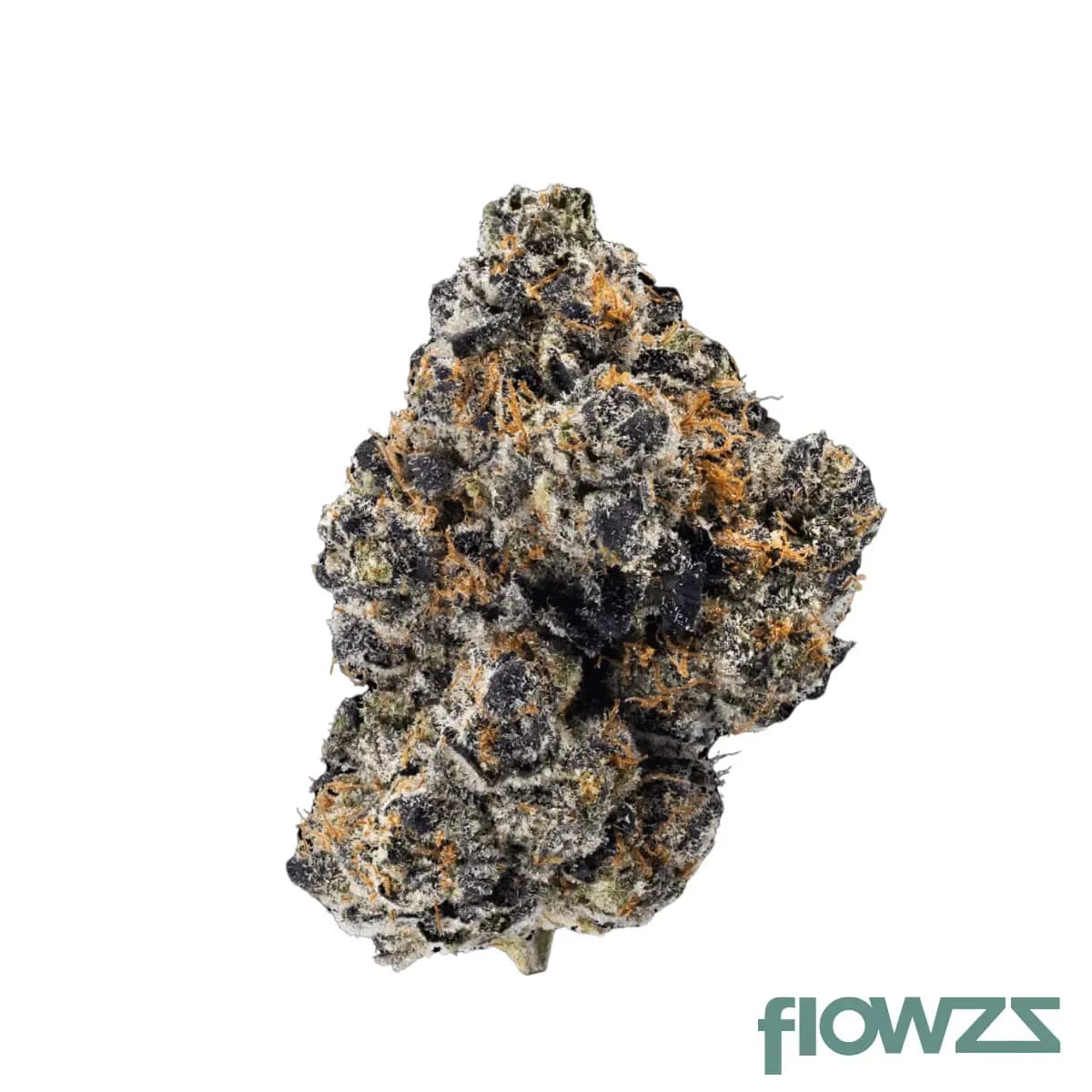 enua-25-1-psz-ca-zainbow