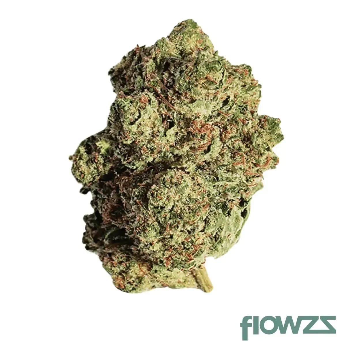 beacon-pk-t20-pink-kush