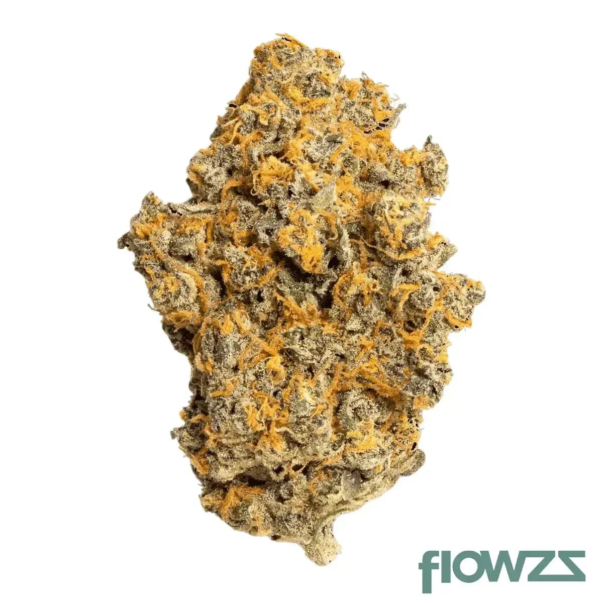 hidealz-24-1-c3-psl-pink-slurricane