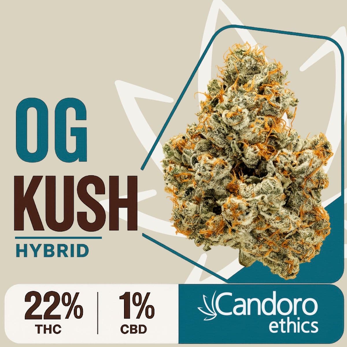  Candoro ethics 22:1 Hybrid OGK OG Kush