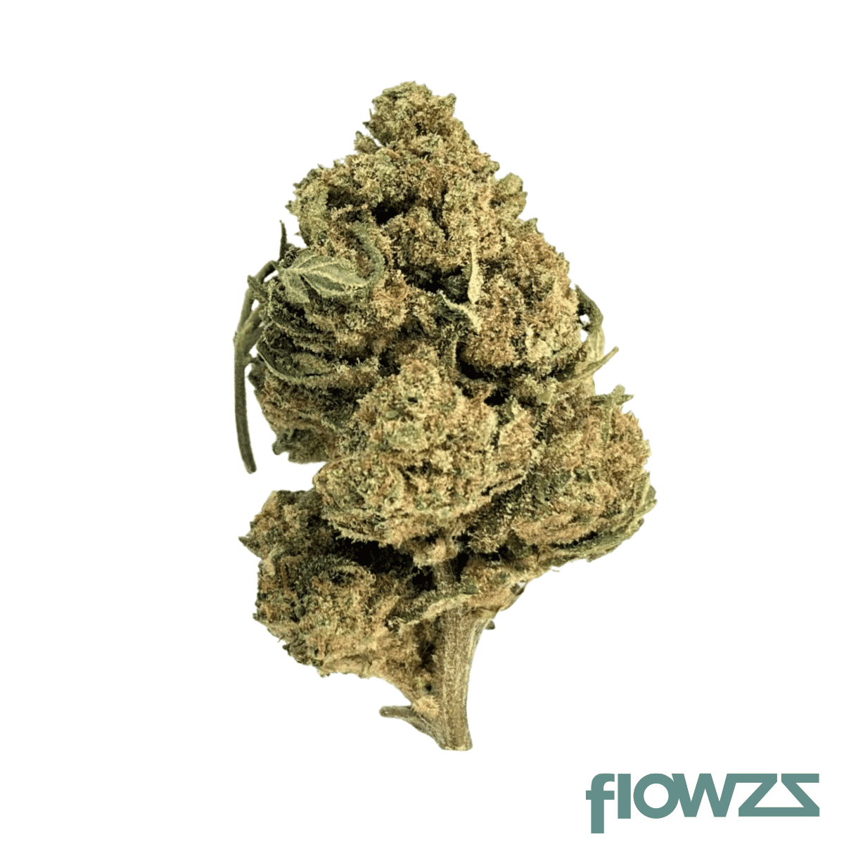 beacon-lh-t30-lavender-haze