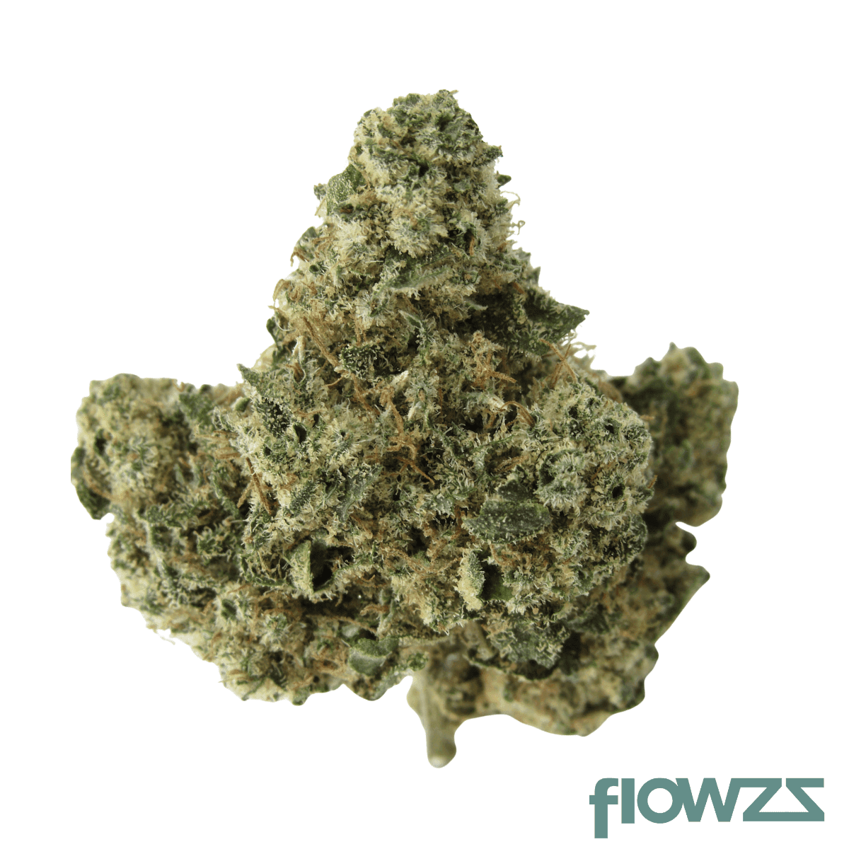 thc-akut-ohs-20-apple-slapz