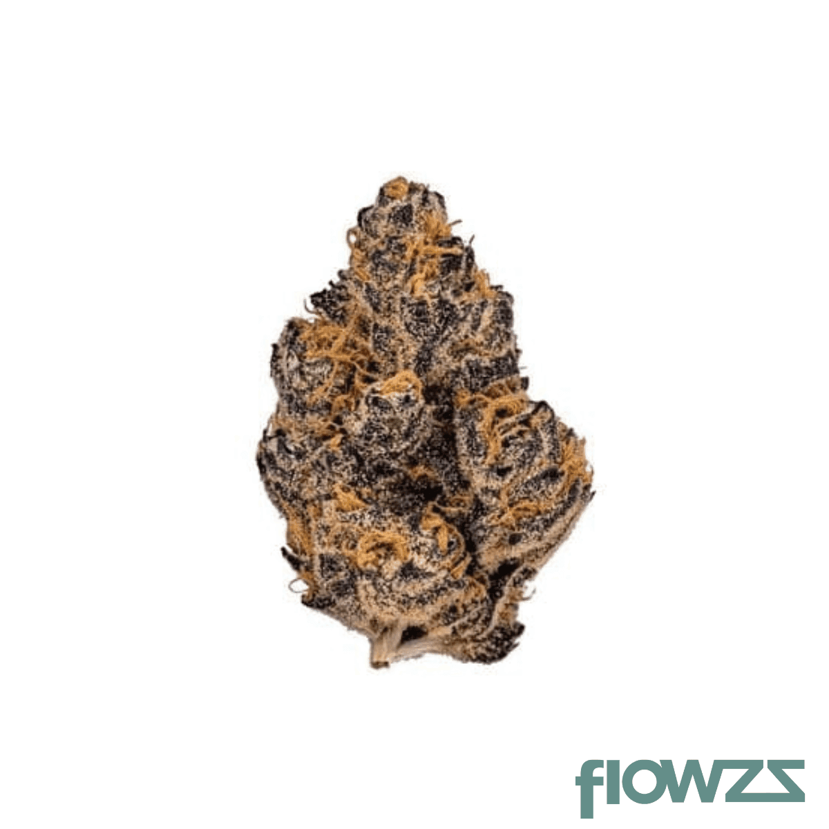 imc-gdi-thc-25-grave-digger