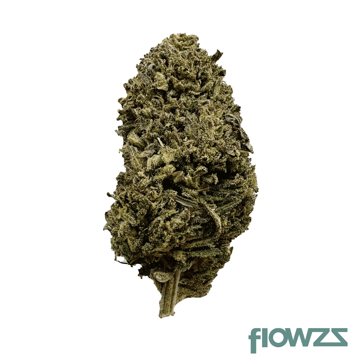 coyote-valley-22-1-pwk-pinewood-kush