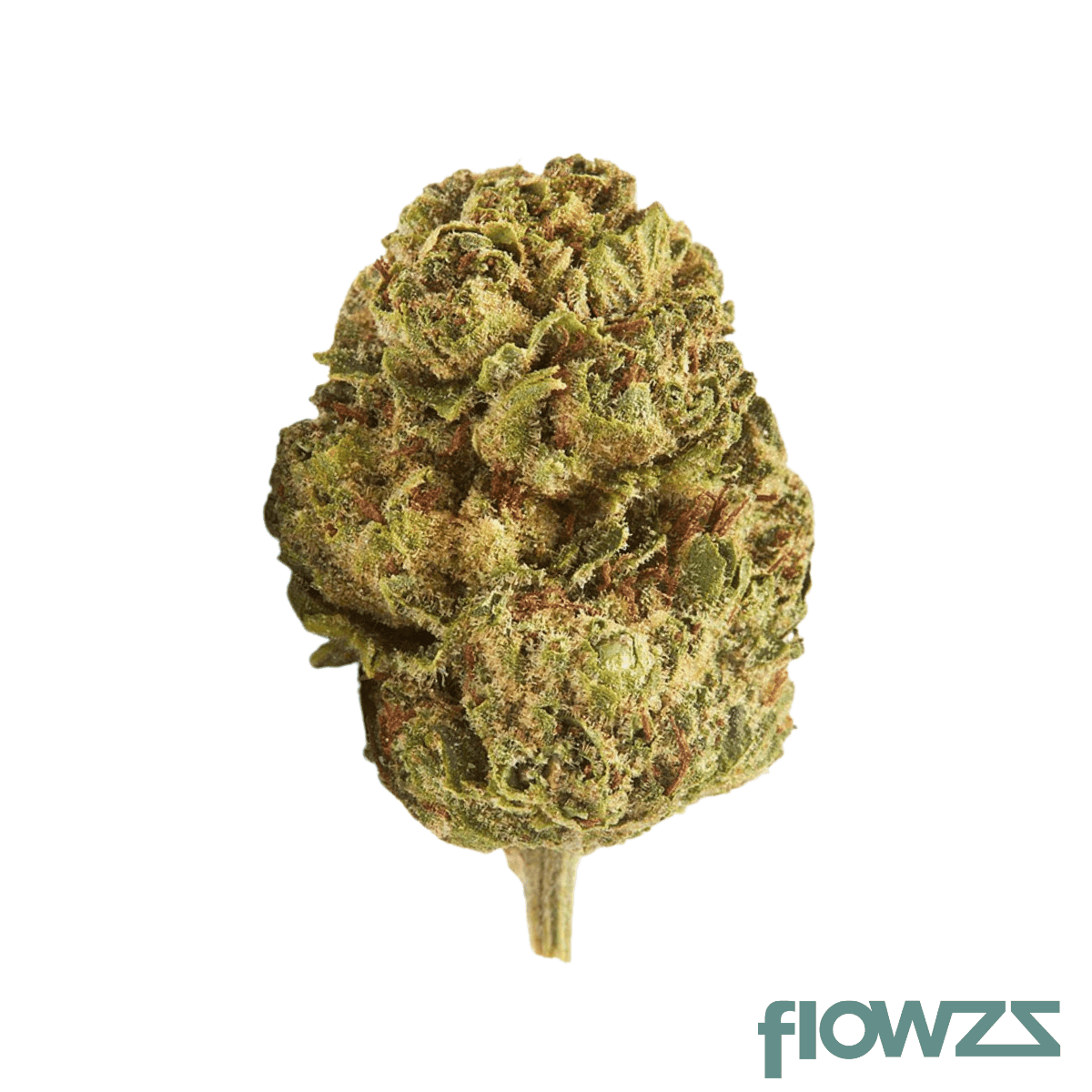imc-ro-thc25-roma