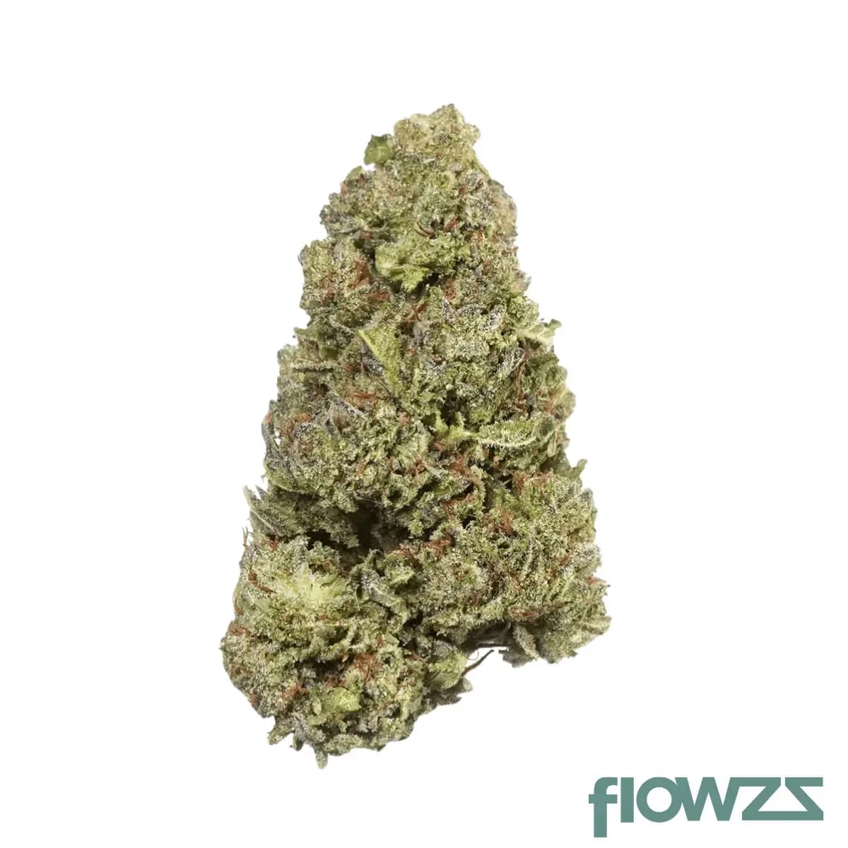 slouu-22-1-zks-ca-z-kush