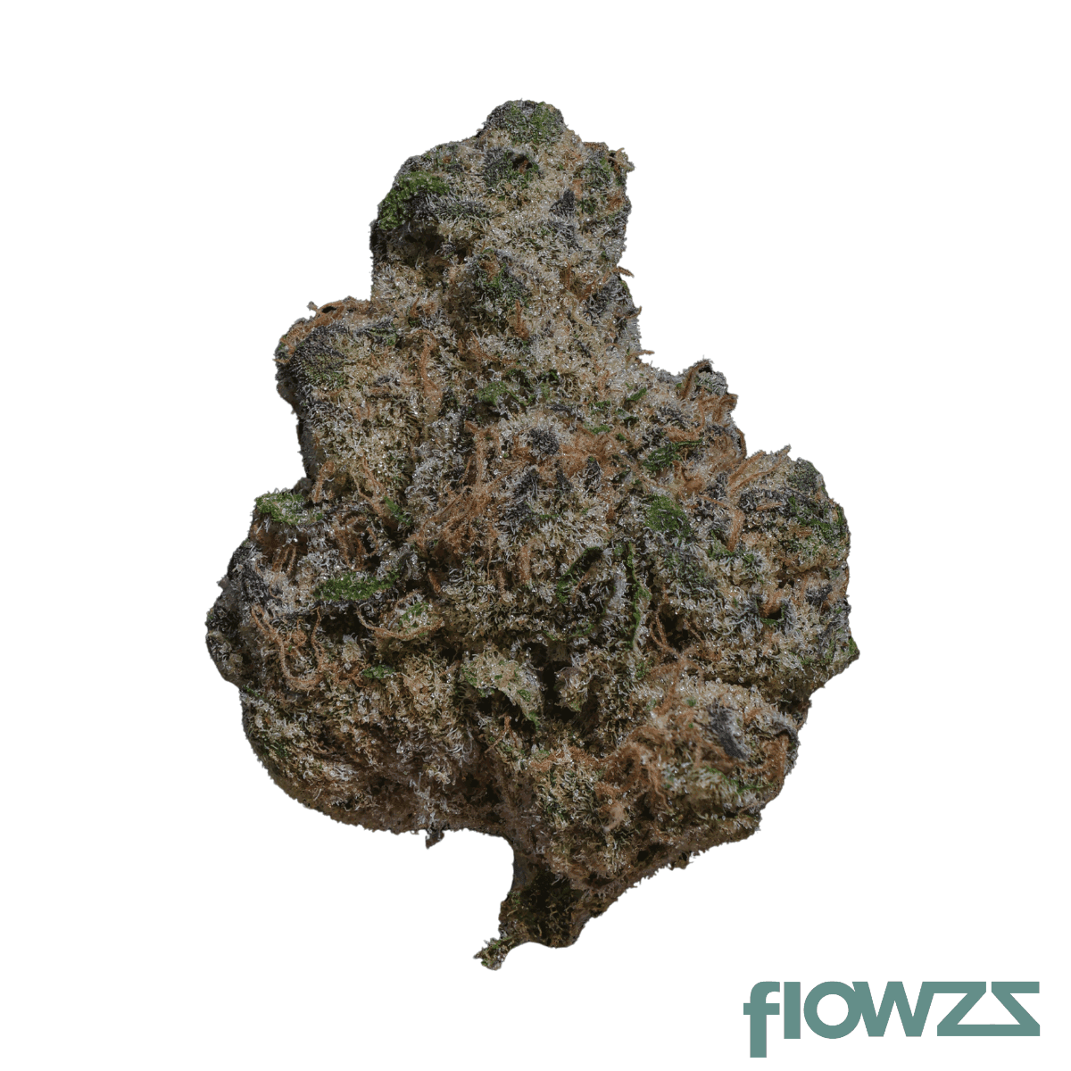 amp-trichome-acai-thc24-acai-jelly
