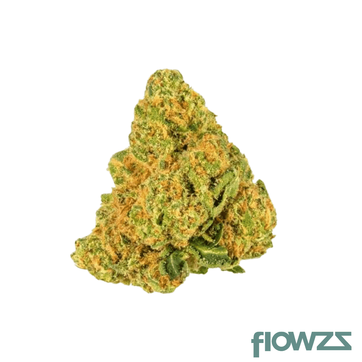 amici-29-1-sle-sour-lemon-og