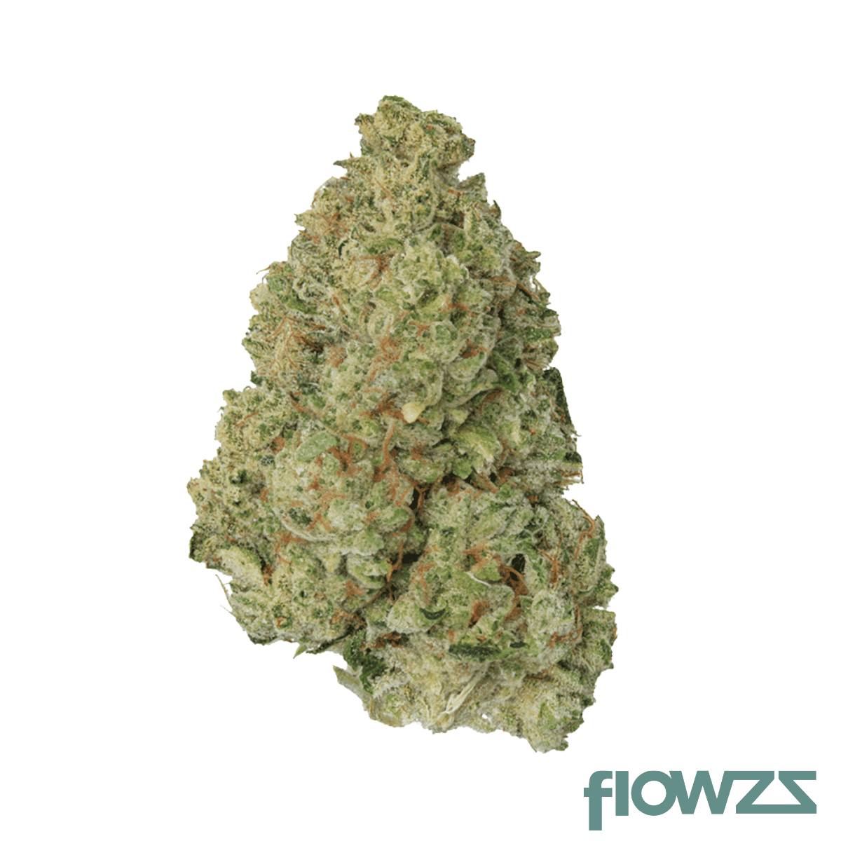 mgf-22-1-cloud-white