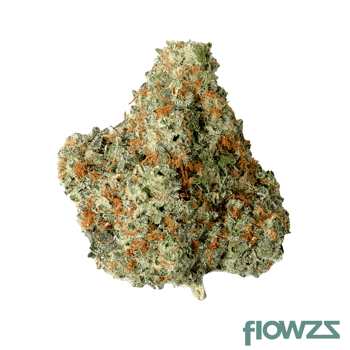 mgf-22-1alien-green