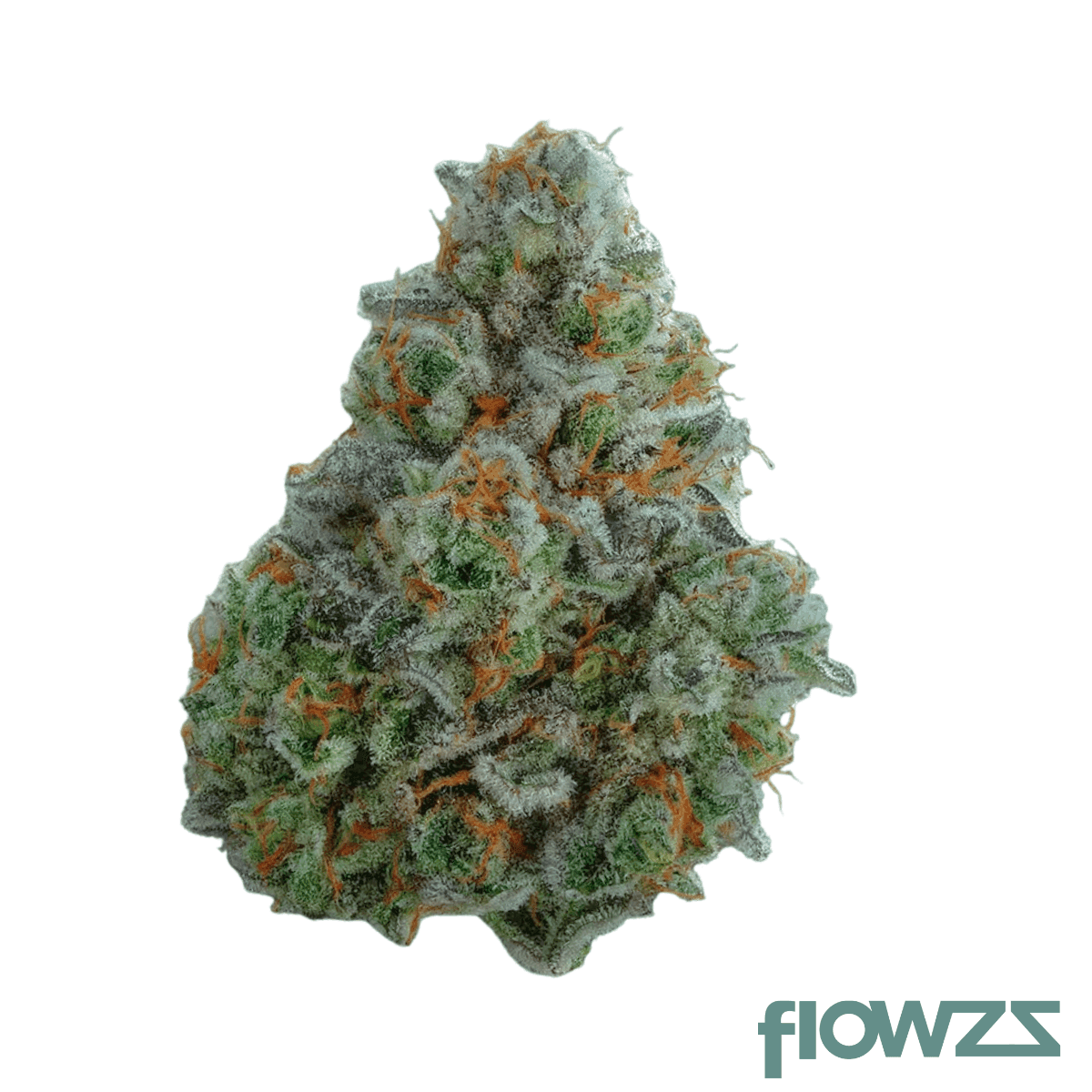 mgf-22-1-blue-horizon
