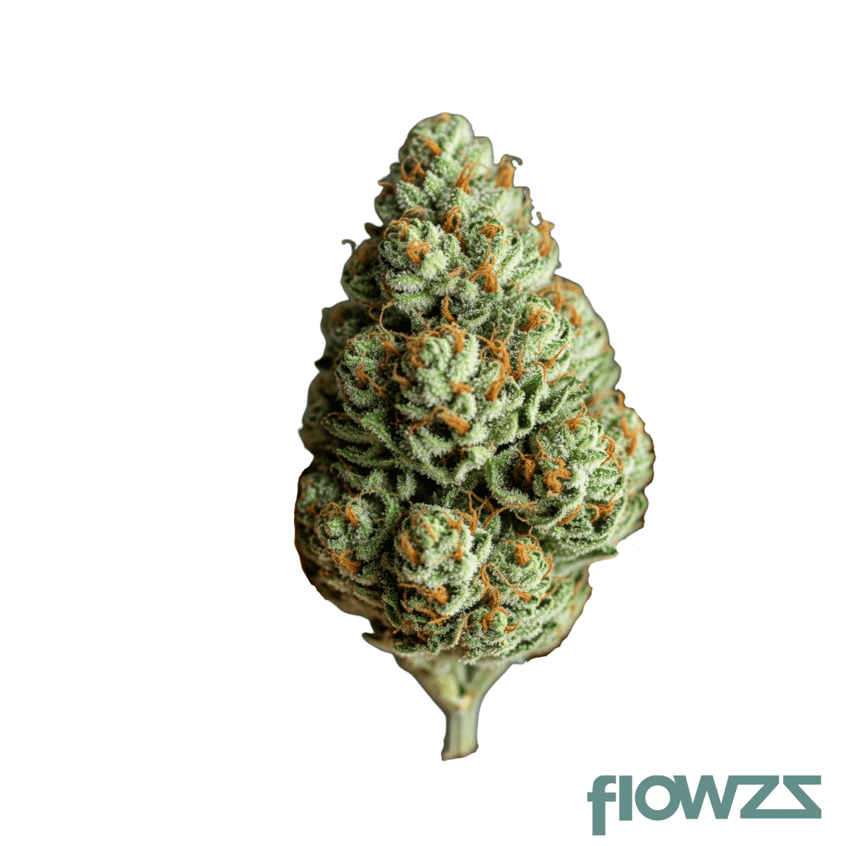 mgf-pop-up-no-19-two-keyz