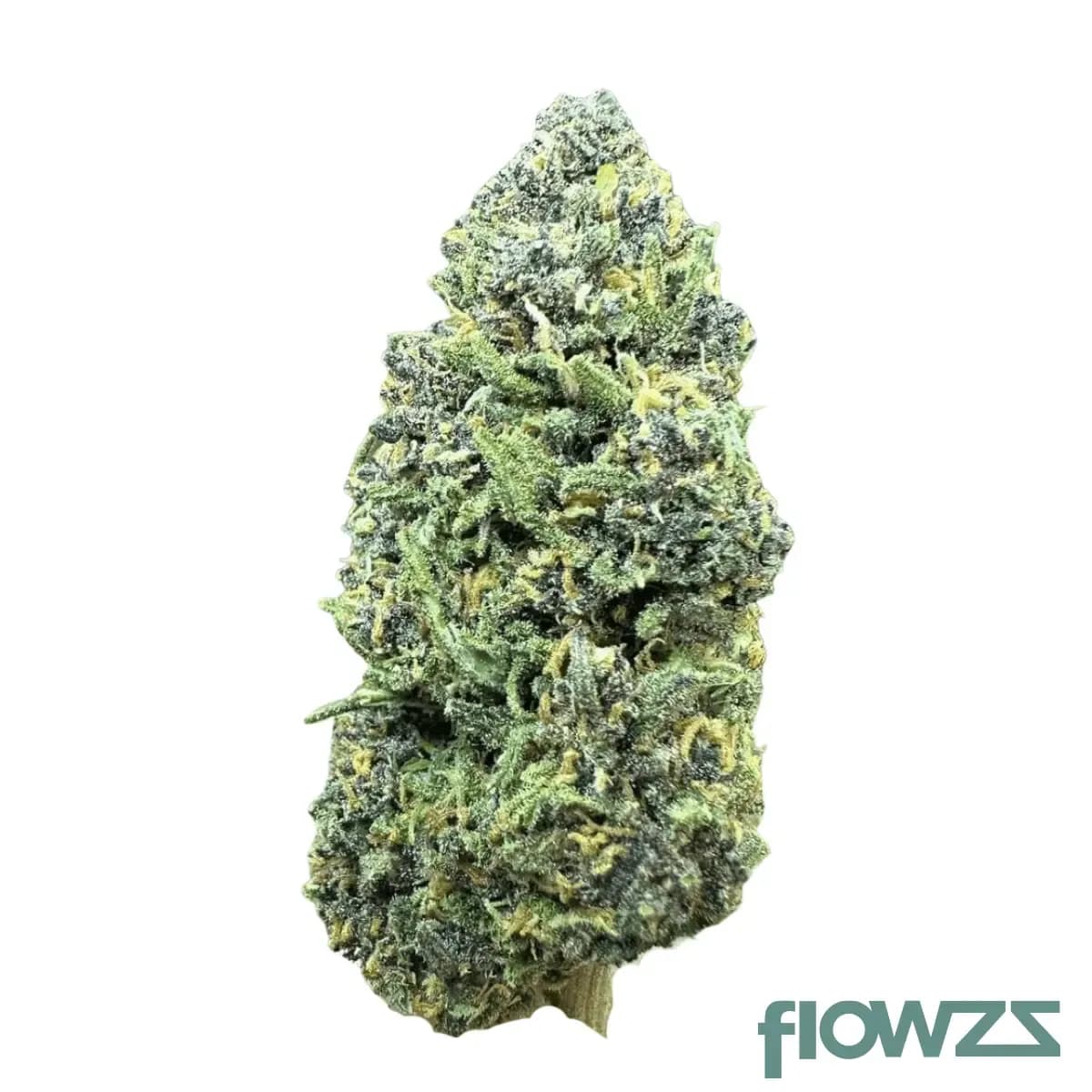 cannamedical-balanced-ultra-10-10-libras