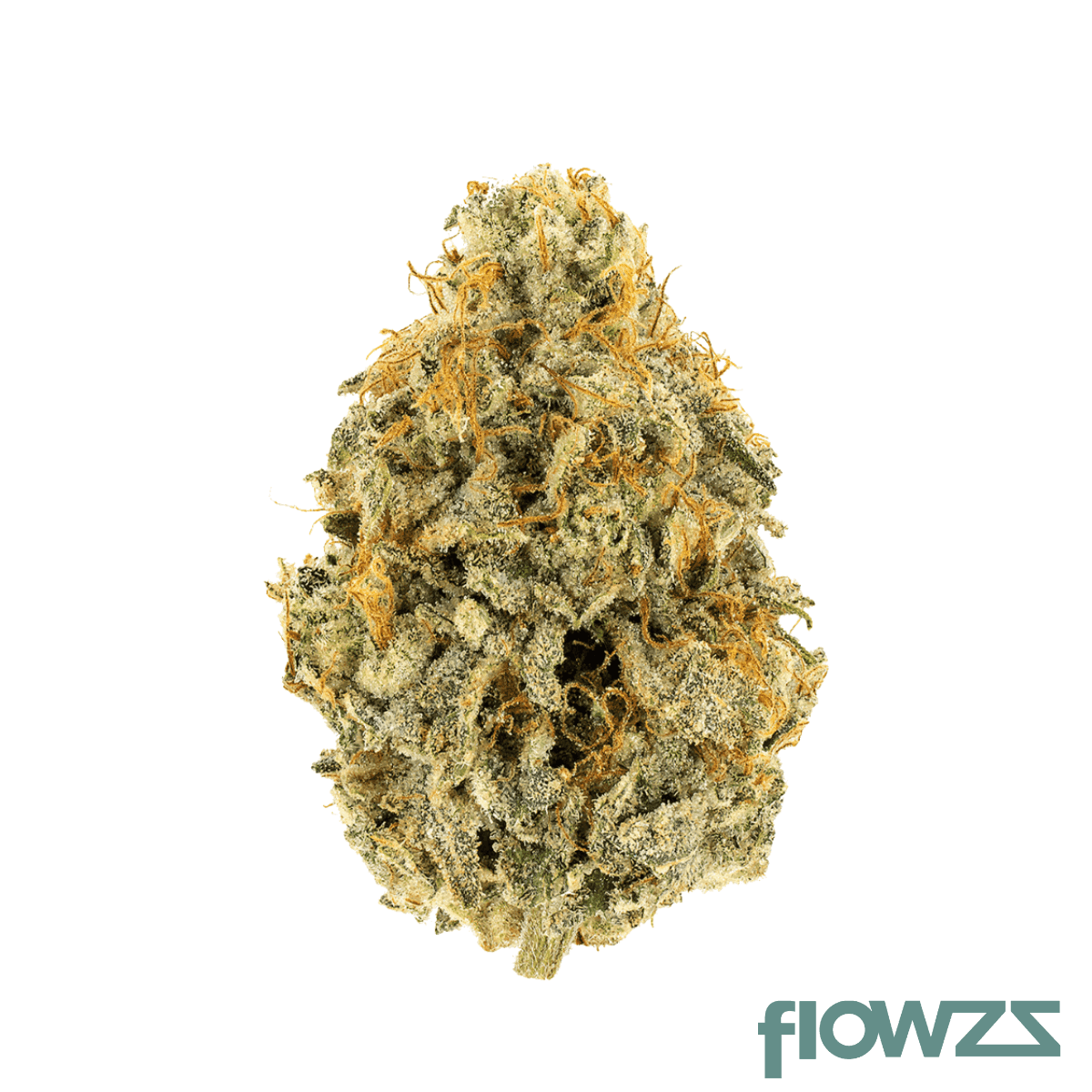therismos-30-1-atg-atlantic-glue-gg4