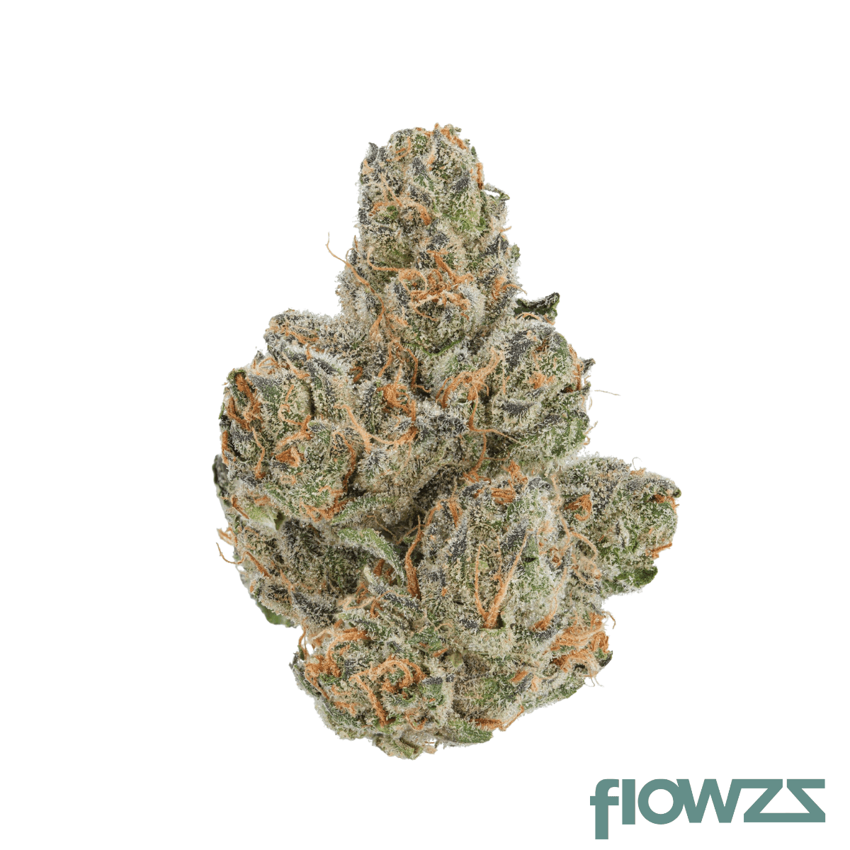 zoiks-22-1-blbc-black-berry-chai