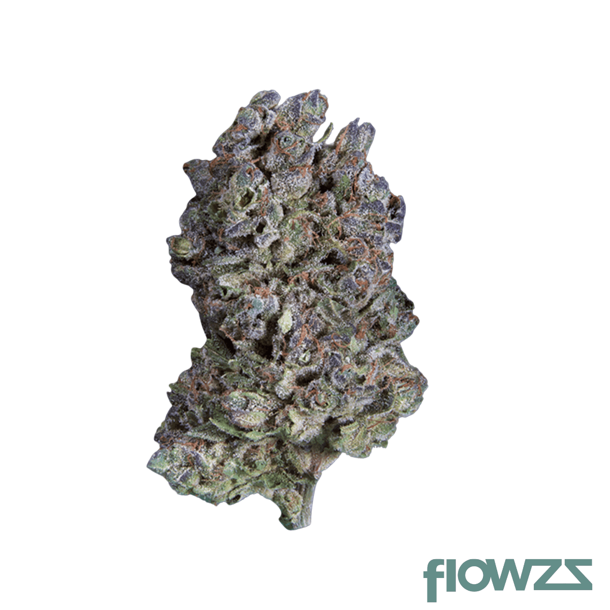 nice-24-1-coa-cosmic-gas