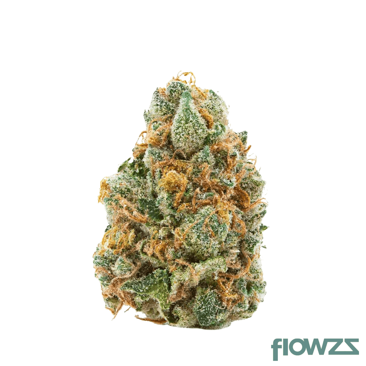 balancial-25-1-sundae-sesh