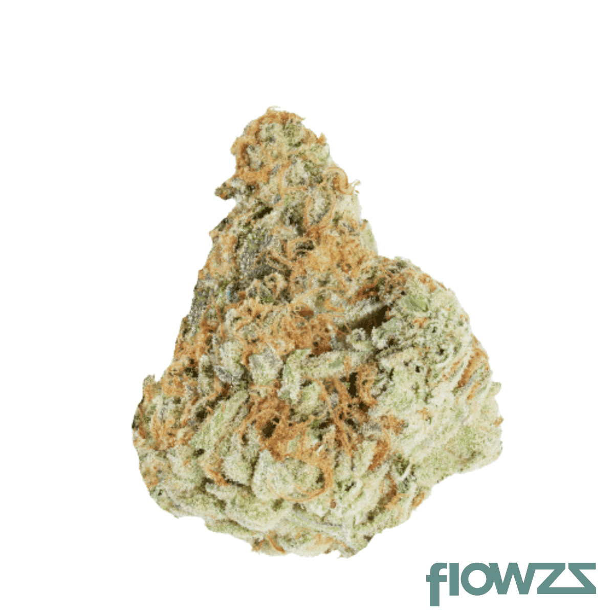 nice-29-1-mos-morning-sun