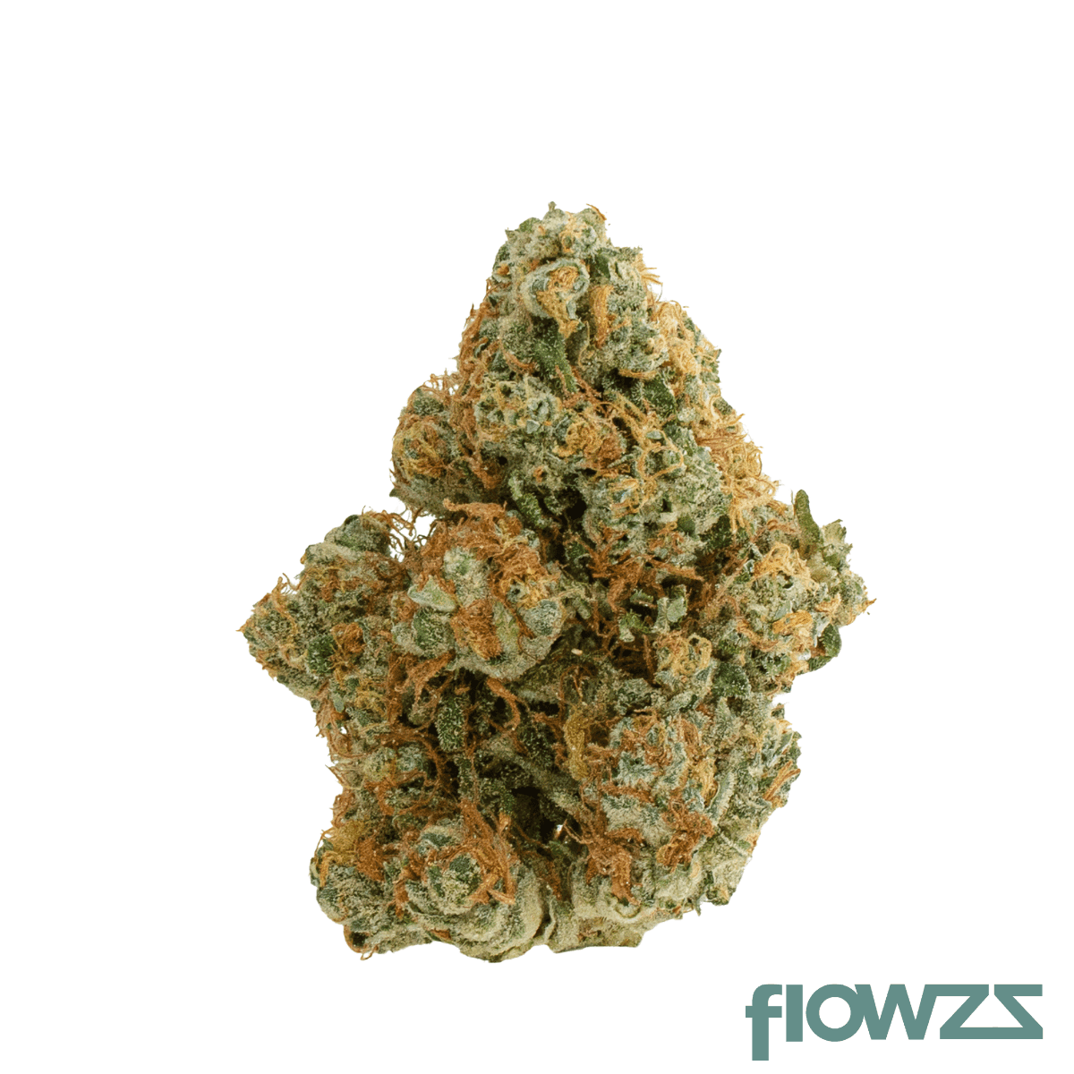 drapalin-31-1-da-fux-gary-payton-x-gushers